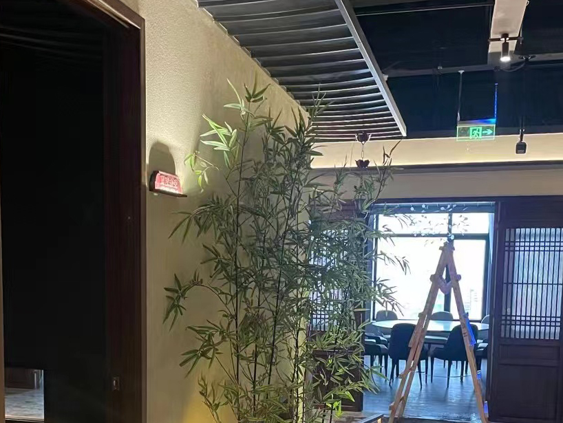 乐东合作伙伴